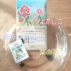 【花の種】 サザンオールスターズ 原坊の朝顔 菜の花 美女なでしこ 種 3種類のサムネイル