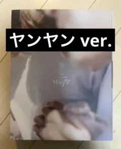 WayV 威神V ヤンヤン トレカ 假日 写真集 フォトブックのサムネイル