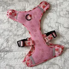 Item thumbnail for item b4affbaf-1d8d-49e1-86be-86000bcf4c3d