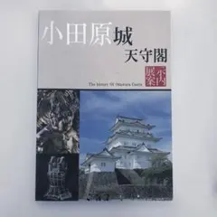 Item thumbnail for item af67fa3e-7ebd-443b-8e8c-e897c600355f