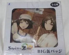 Steins;Gate BIG缶バッジ 全4種のサムネイル