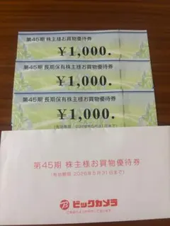 ビックカメラ 3000円分 株主優待