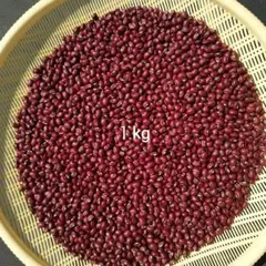 2026年最新】種類：ささげ豆 食品 野菜の人気アイテム - メルカリ