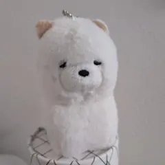 2026年最新】チャウチャウ ぬいぐるみの人気アイテム - メルカリ