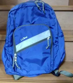 【希少】L.L.Bean 青 リュック・バックパック　D589　ヴィンテージ