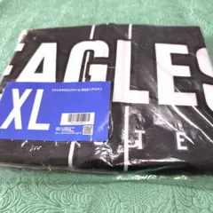 Item thumbnail for item 019d409f-d3af-47fc-aa56-f26d1083001e