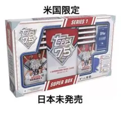 スーパーボウル プログラム8冊セット 23〜30回公式プログラム - メルカリ