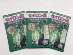 セイロン瓜の苗　6株　けーにゃん様専用