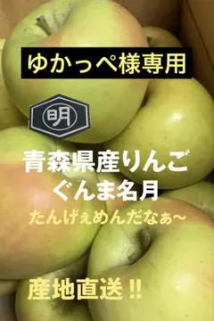 青森県産りんご【ぐんま名月】353家庭用3kg 大8〜10個入ゆかっぺ様専用