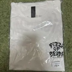 （新品・未開封）ハイスタHi-STANDARD SLS TEE サイズL