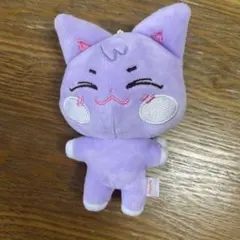 aniteez アイドル