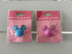 東京ディズニーリゾート キーホルダー 2個セット