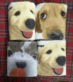 Item thumbnail for item 2f3a5396-99a2-46c7-a84e-5ddce11c0bef