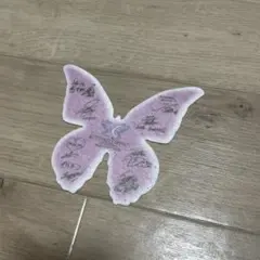 BUTTERFLY EFFECT 蝶