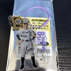 阪神タイガース　佐藤輝明　シークレットワイヤーリングアクリルキーホルダー