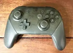 Nintendo Switch Pro 컨트롤러