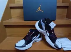 Item thumbnail for item a9f19f00-66f9-4102-bfb0-c7400f25cdfa