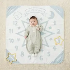 【美品】ディモア アニバーサリー タオル 月齢フォト 記念写真