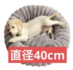 Item thumbnail for item 97faec57-d3f3-40ed-bf09-1e9cb0126dc5