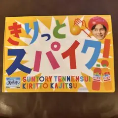 髙橋藍 石川祐希 クリアファイル ワールドチャレンジシリーズ2025