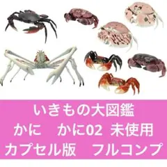 プレミアムBANDAIダンゴムシ【完全受注生産品・キラキラのだけ