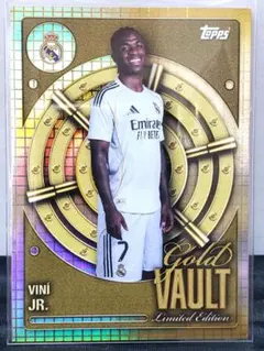 2025年最新】ヴィシニウスの人気アイテム - メルカリ