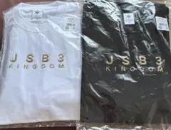 三代目 JSB KINGDOM ツアーTシャツLサイズ
