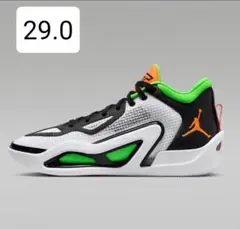 【正規品】NIKE　ナイキ　Tatum 1 テイタム1 29cm