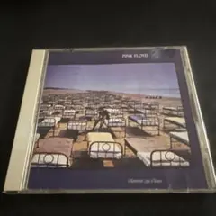 Pink Floyd A Momentary Lapse of Reason