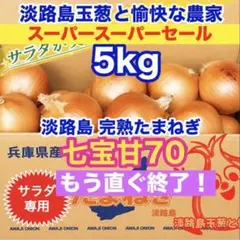 ＜サラダ専用5kg＞七宝甘70 淡路島産 玉ねぎ 高糖度 玉葱玉ねぎたまねぎのサムネイル