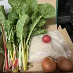 くまさんぽーん様専用ページ