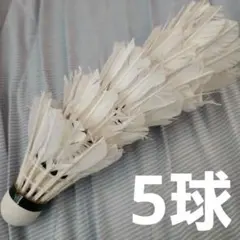 2025年最新】バドミントンシャトルの人気アイテム - メルカリ