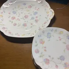ケーキ皿セット　大1枚　取り皿5枚
