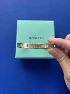 Tiffany & Co. シルバーバングルのサムネイル