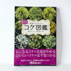 Item thumbnail for item c9fba972-d707-4953-94a6-cd4371806f88