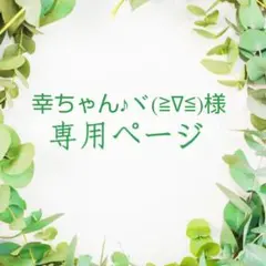 幸ちゃん♪ヾ(≧∇≦)様　3点セットの専用ページ