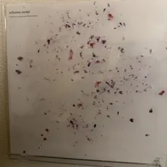 2026年最新】nujabes reflection eternalの人気アイテム - メルカリ