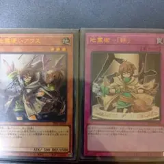崔嵬の地霊使い アウス PSA10 20th - メルカリ