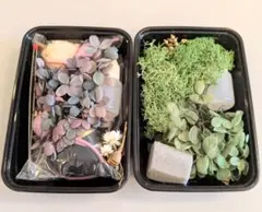 A04プリザーブドフラワー花材2パックセット