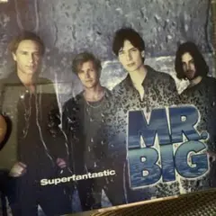 MR. BIG Superfantastic CD