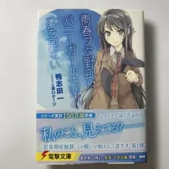 かなでぃ様 リクエスト 2点 まとめ商品