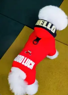 Item thumbnail for item 06559f33-db9c-40a1-b26d-4460ba1eb933