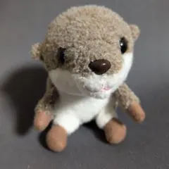 確認用