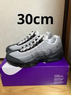 NIKE SB エアマックス95 ブラック　カカオワオ　30cm