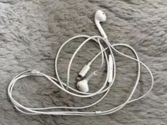 iPhone 有線イヤホン Apple