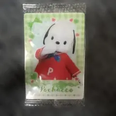 ポチャッコ プロフィールカード