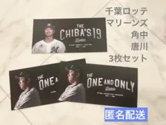 ✴︎千葉ロッテ マリーンズ 引退記念カード 角中•唐川 3枚セット✴︎