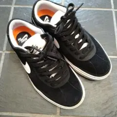 Item thumbnail for item 4d6f8f40-ed55-40e5-9015-4d3f61cc1c22