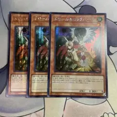 ドロール&ロックバード　アジアシークレット　3枚