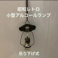 2026年最新】ランプ ホヤの人気アイテム - メルカリ